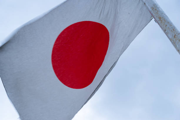 istock Japanese flag swaying in the wind 1421560262