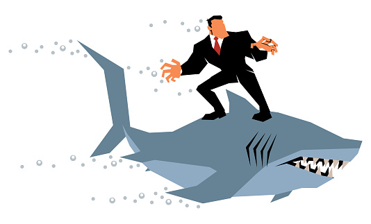 Brave businessman riding shark on white background.