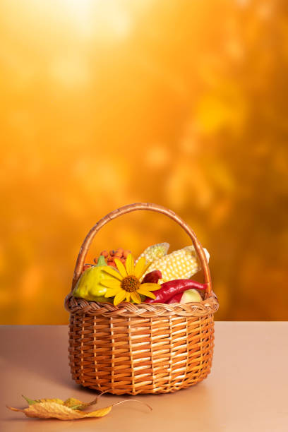 autumn composition with a basket of apples, squash, peppers on the background of an autumn landscape. autumn harvest concept - vegitables imagens e fotografias de stock