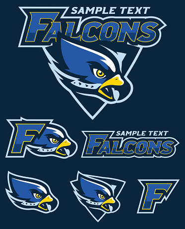 Mascot illustration with the head of determined falcon.