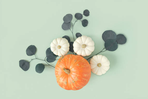 istock Autumn composition. Green desk with pumpkins and eucalyptus branch. Flat lay, top view, copy space. Nordic, hygge, cozy home concept. Thanksgiving fall decoration. Halloween Modern Invitation Mock up. 1421565366