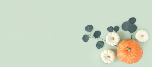istock Autumn composition. Green desk with pumpkins and eucalyptus branch. Flat lay, top view, copy space. Nordic, hygge, cozy home concept. Thanksgiving fall decoration. Halloween Modern Invitation Mock up. 1421565522