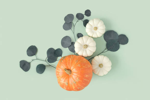 istock Autumn composition. Green desk with pumpkins and eucalyptus branch. Flat lay, top view, copy space. Nordic, hygge, cozy home concept. Thanksgiving fall decoration. Halloween Modern Invitation Mock up. 1421565523