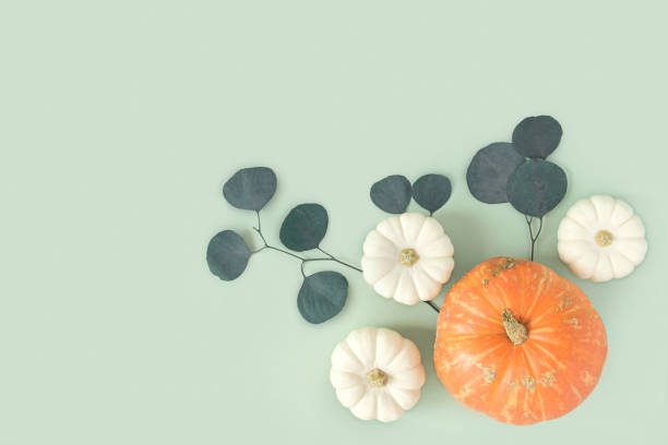 istock Autumn composition. Green desk with pumpkins and eucalyptus branch. Flat lay, top view, copy space. Nordic, hygge, cozy home concept. Thanksgiving fall decoration. Halloween Modern Invitation Mock up. 1421565997