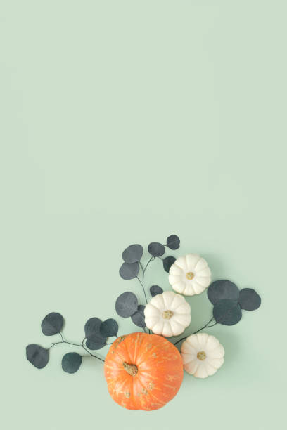 istock Autumn composition. Green desk with pumpkins and eucalyptus branch. Flat lay, top view, copy space. Nordic, hygge, cozy home concept. Thanksgiving fall decoration. Halloween Modern Invitation Mock up. 1421566097