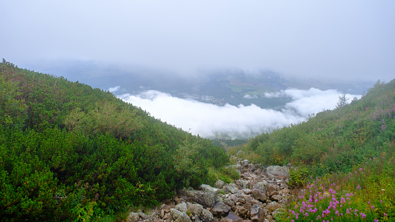 low hanging storm clouds and fog in the mountains on a summer day. blue haze in mountain valleys