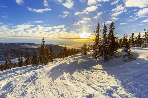 paesaggio invernale naturale nella stazione sciistica di sheregesh in russia, tempo freddo e sole, pista di neve bianca, abeti in cima alla montagna, vista sulla natura con cielo di nuvole blu, ora serale, tramonto. - sheregesh foto e immagini stock