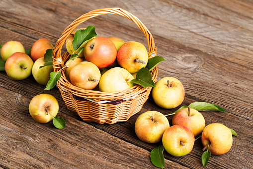 A delectable display of the bounty of autumn spilling from a woven cornucopia.  An assortment of fruits and vegetables.  Shallow dof.