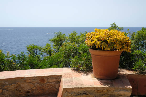 istock Beautiful landscape along the Costa Brava, Spain 1421578426