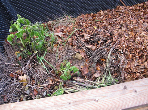 Raised bed filled up with organic material from the garden - Mit organischem Material aus dem Garten aufgefülltes Hochbeet