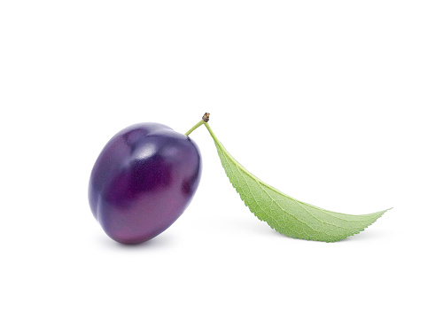Single glossy dark purple plum with leaf isolated on white background