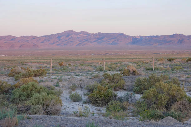 Sunrise on a mountain desert oasis
