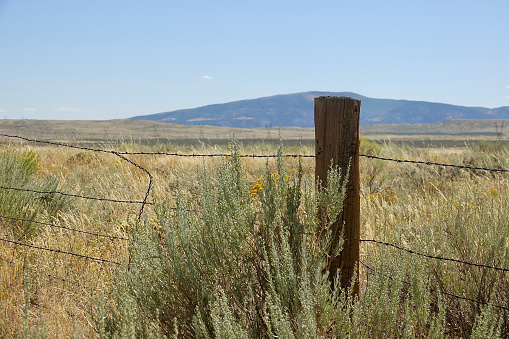 Wire fence and wood post in a desert landscape