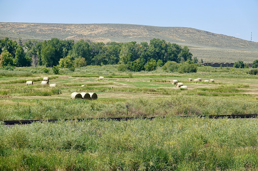 Farmland in the central coast with hay rolls scattered in the fields