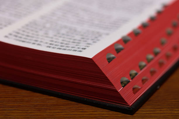 Open Holy Bible on  table