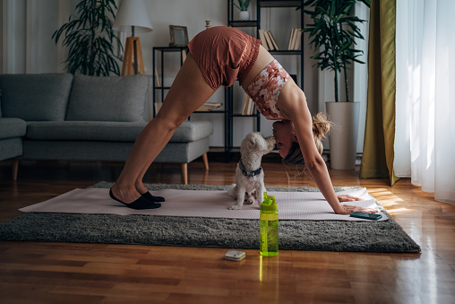 One woman, beautiful young woman doing yoga and playing with her pet dog in living room at home.