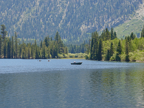 Activity on the lake on a summer morning