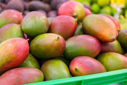 Fresh mangoes on the market. Lots of mangoes on the supermarket counter. Fruits, vitamins.