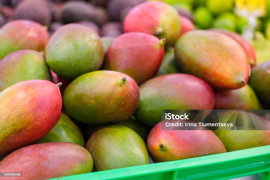 Fresh mangoes on the market. Lots of mangoes on the supermarket counter. Fruits, vitamins. Mango Fruit Stock Photo