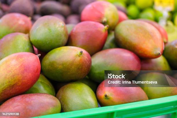 Fresh Mangoes On The Market Lots Of Mangoes On The Supermarket Counter Fruits Vitamins Stock Photo - Download Image Now
