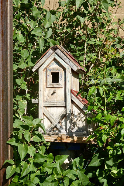 istock Arts and crafts barn style bird house 1421590967