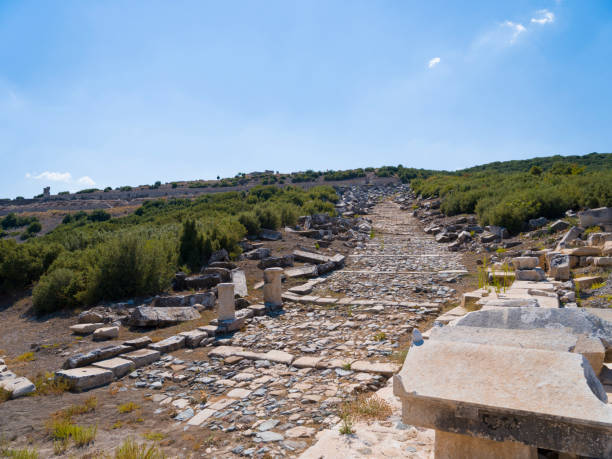 kibyra antigua ciudad, burdur. turquía - mosaic ancient greek culture greek mythology fotografías e imágenes de stock