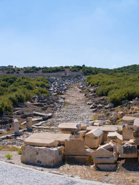 starożytne miasto kibyra, burdur. turcja - mosaic ancient greek culture greek mythology zdjęcia i obrazy z banku zdjęć