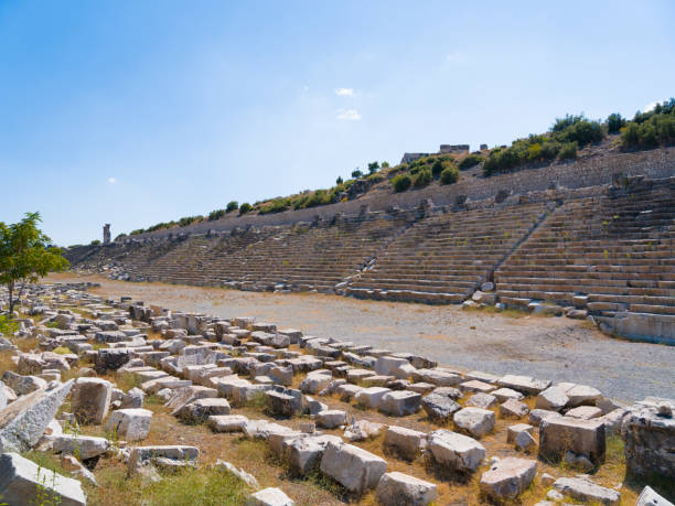 kibyra antigua ciudad, burdur. turquía - mosaic ancient greek culture greek mythology fotografías e imágenes de stock