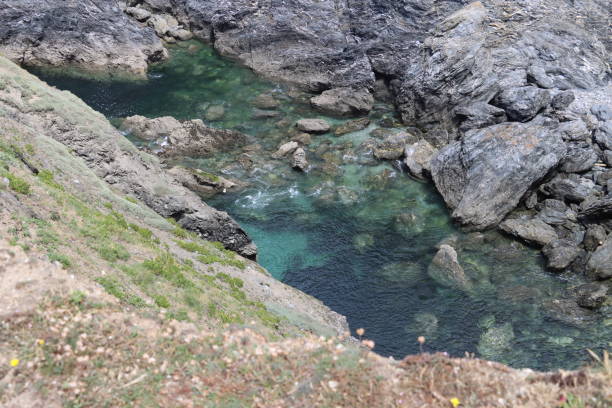 istock Jagged rocks in Belle Ile En Mer 1421598533