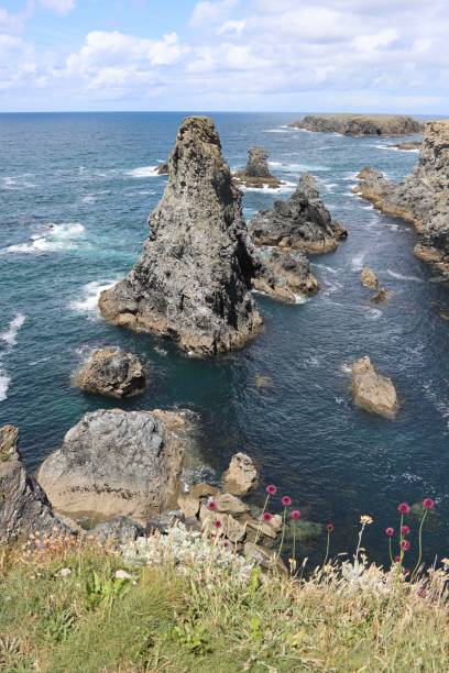 istock Jagged Rocks on the island 1421598627