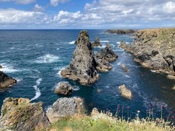istock Jagged Rocks on the island 1421598655