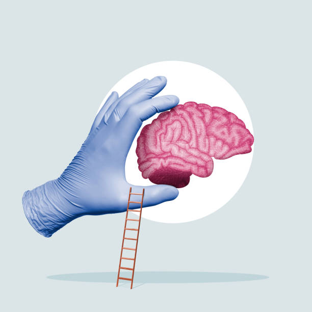 istock The concept of a healthy brain. 1421600127