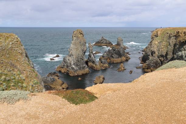 istock Jagged Rocks on the island 1421603921