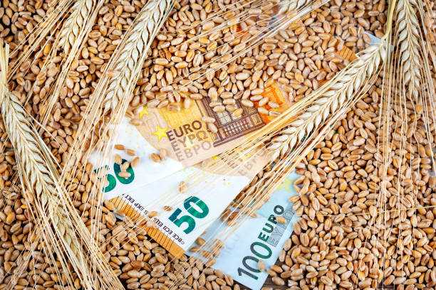 istock Concept of rising costs for wheat 1421606891