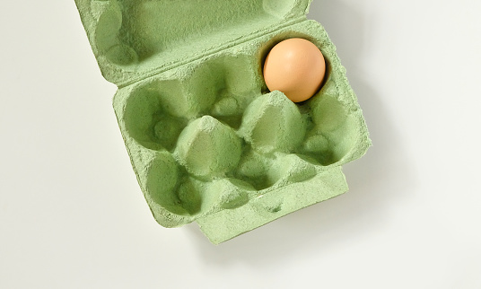 An almost empty light green egg carton for 6 organic eggs