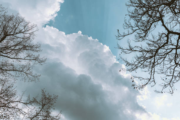 céu azul de fundo com nuvens - rain snow sun beauty - fotografias e filmes do acervo