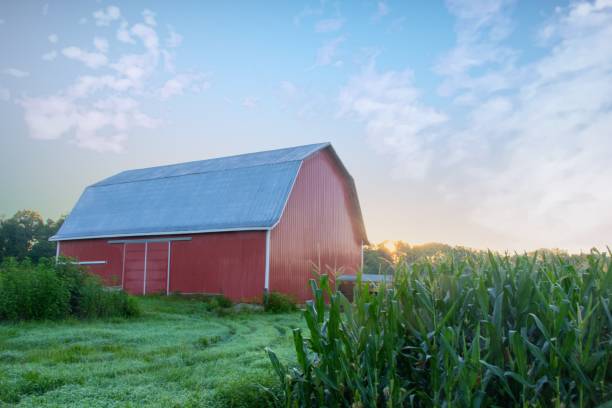 istock Red Barn at sunrise-Cass County, Indiana 1421615892