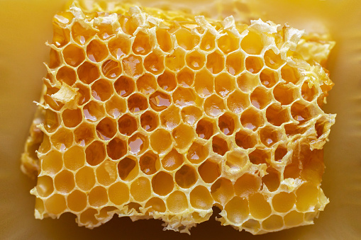 Texture of fresh honeycomb with honey. Top view