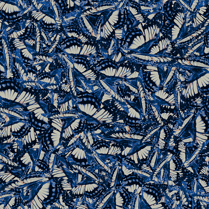 Butterflies wings motif blue and grey colors random pattern design