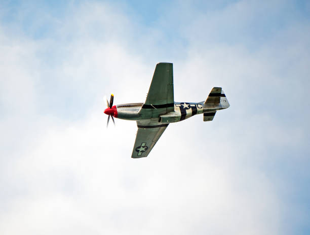 This restored P-51D Mustang WWII fighter, won first place in the Unlimited Class at the 1970 National Air Races in Reno, Nevada.   Today the aircraft is still flying and performing at air shows around the country.  The aircraft is currently owned and operated by the California Aeronautical University. The photo was taken in July 2025 at the Bremerton Airport, Washington, USA