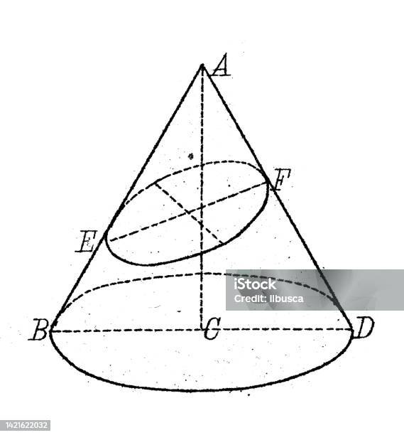 Curves In Mathematics Antique Illustration Mathematics And Geometry Section Curves Stock ...