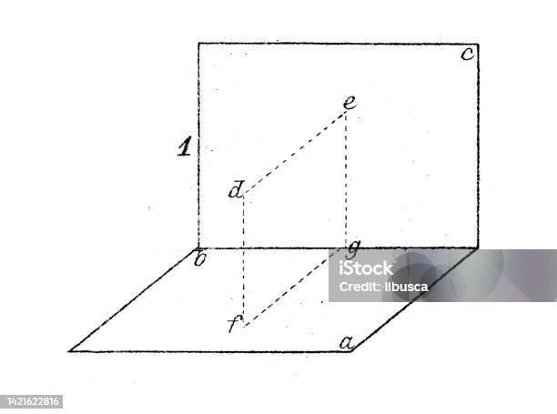 Projection In Math 9 Antique Illustration Mathematics And Geometry Projections And ...