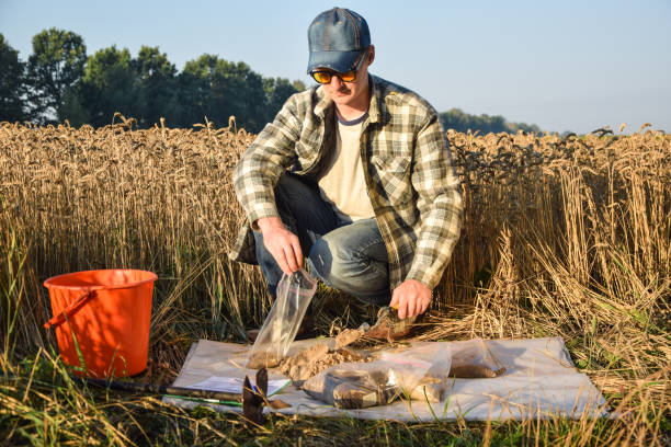 istock Agronomist preparing soil samples for laboratory analysis outdoors 1421623634
