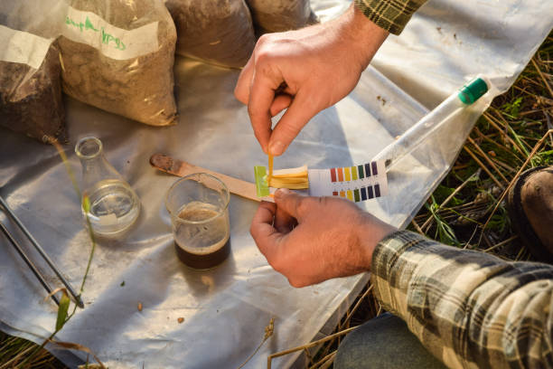 Agronomy specialist testing soil sample labortory equipment outdoors Closeup of agronomy specialist testing soil sample ph value outdoors, using laboratory equipment, performing soil certification at agricultural grain field sunrise. Environment research. soil tester stock pictures, royalty-free photos & images