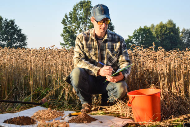 istock Agriculturist taking notes in soil sampling information sheet at field 1421626327
