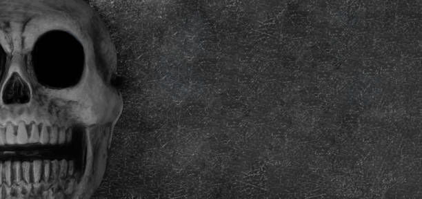 istock Panoramic view of a human skull in black and white with space for copy. 1421626387