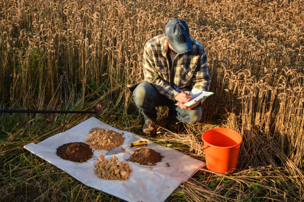 istock Agriculturist taking notes in soil sampling information sheet at field 1421626517