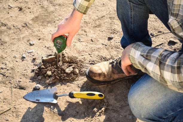 istock Closeup agronomist measuring soil pH value using soil tester outdoors 1421626622