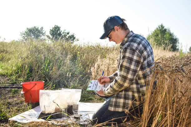 istock Farmer preparing soil samples for laboratory analysis outdoors 1421627809
