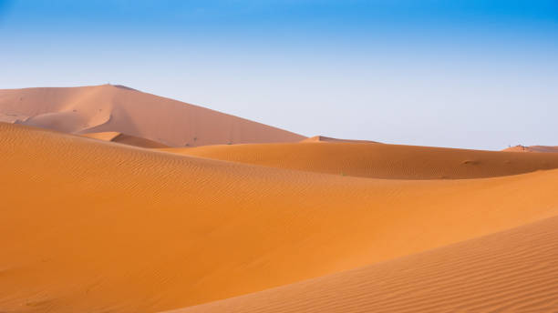 istock Beautifull Sahara desert at Morrocco 1421627861